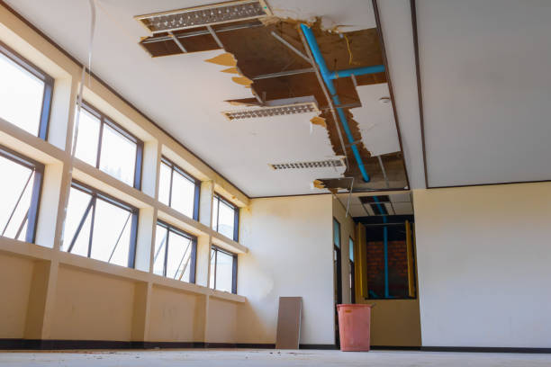 Best Water damage restoration near me  in Galesville, MD
