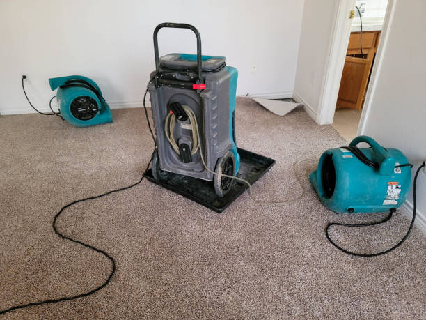 Best Emergency water damage restoration  in Galesville, MD