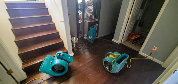 Best Fire Damage Restoration  in Galesville, MD