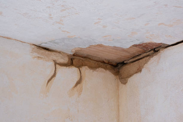 Best 24/7 water damage repair  in Galesville, MD
