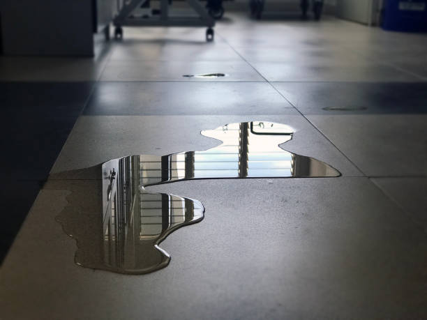 Best Water damage restoration specialists  in Galesville, MD