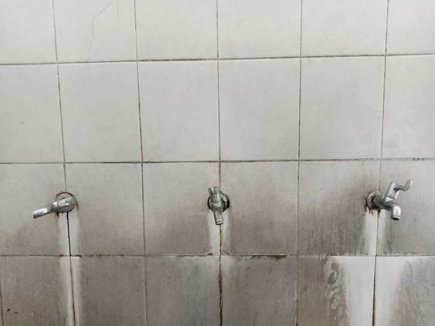 Best Mold removal after water damage  in Galesville, MD