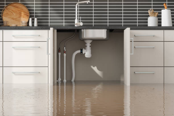 Best Carpet water damage restoration  in Galesville, MD