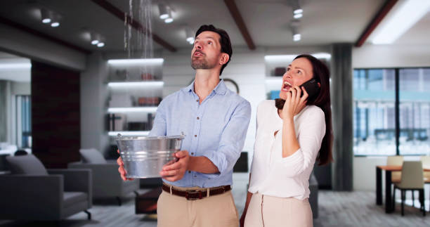 Best Ceiling water damage repair  in Galesville, MD