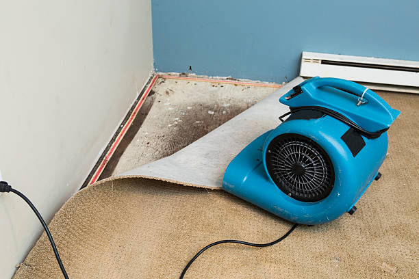 Best Basement water damage restoration  in Galesville, MD
